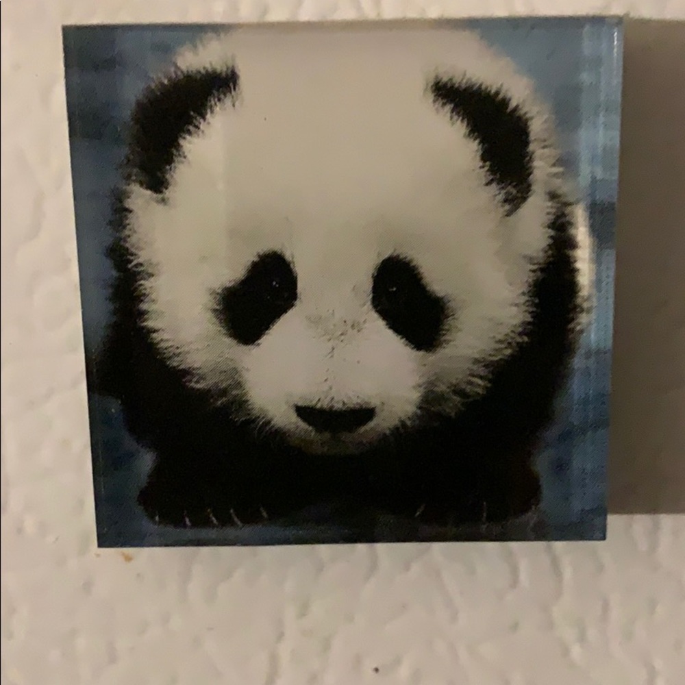 Meet your Posher, Nancy